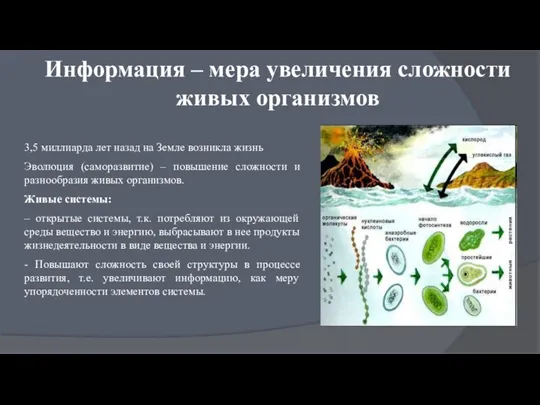 Информация – мера увеличения сложности живых организмов 3,5 миллиарда лет назад на