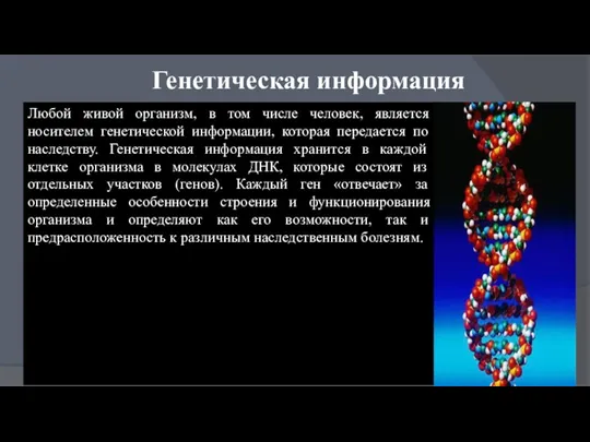 Генетическая информация Любой живой организм, в том числе человек, является носителем генетической