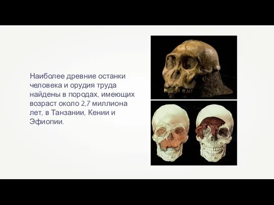 Наиболее древние останки человека и орудия труда найдены в породах, имеющих возраст