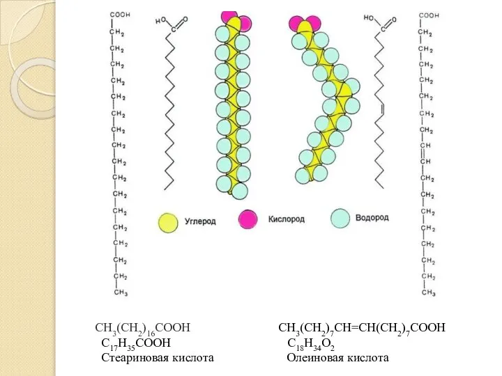 CH3(CH2)16COOH СН3(СН2)7СН=СН(СН2)7СООН С17Н35COOH C18H34O2 Стеариновая кислота Олеиновая кислота