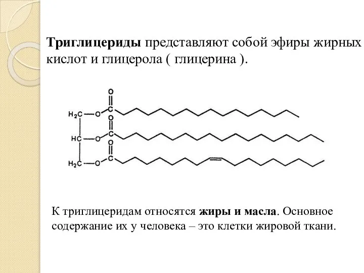 Триглицериды представляют собой эфиры жирных кислот и глицерола ( глицерина ). К