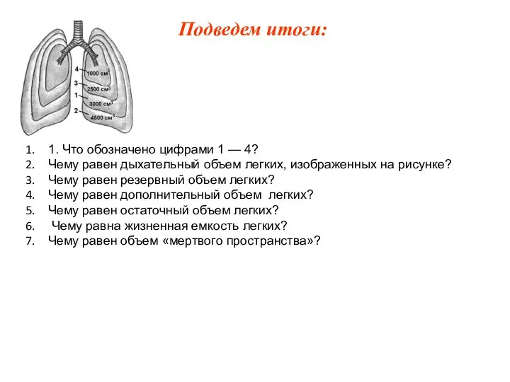 1. Что обозначено цифрами 1 — 4? Чему равен дыхательный объем легких,