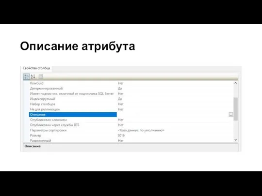 Описание атрибута