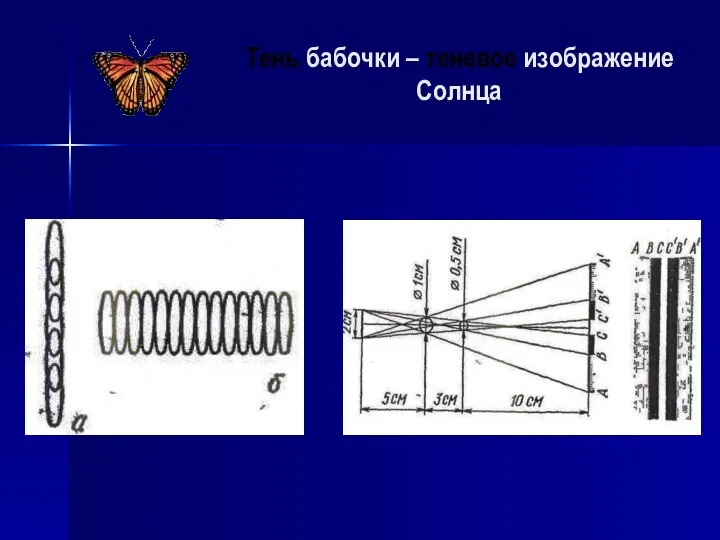 Тень бабочки – теневое изображение Солнца