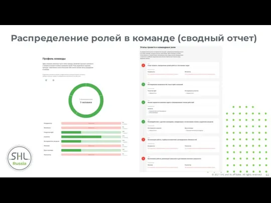 Распределение ролей в команде (сводный отчет)