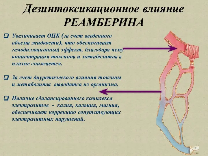 Дезинтоксикационное влияние РЕАМБЕРИНА Увеличивает ОЦК (за счет введенного объема жидкости), что обеспечивает