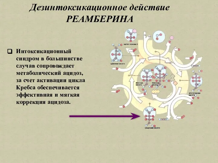 Интоксикационный синдром в большинстве случав сопровождает метаболический ацидоз, за счет активации цикла