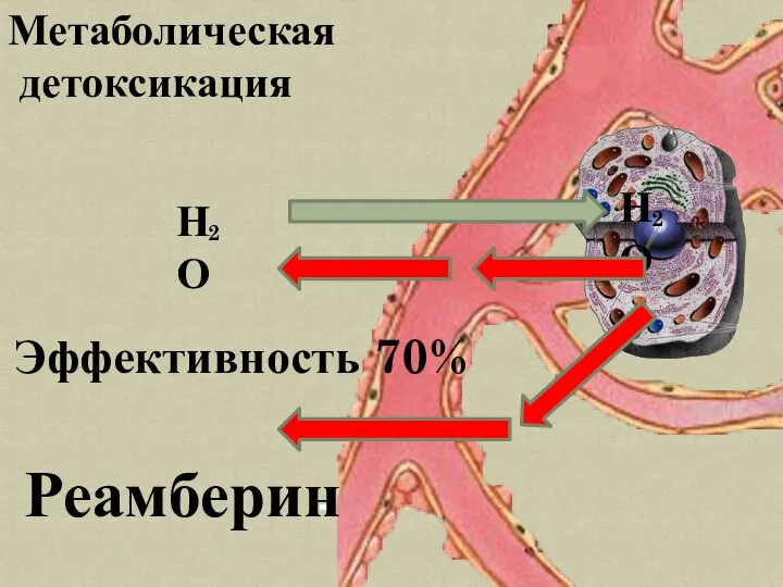 Реамберин Метаболическая детоксикация Эффективность 70%