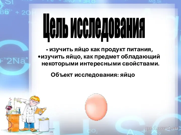 изучить яйцо как продукт питания, изучить яйцо, как предмет обладающий некоторыми интересными