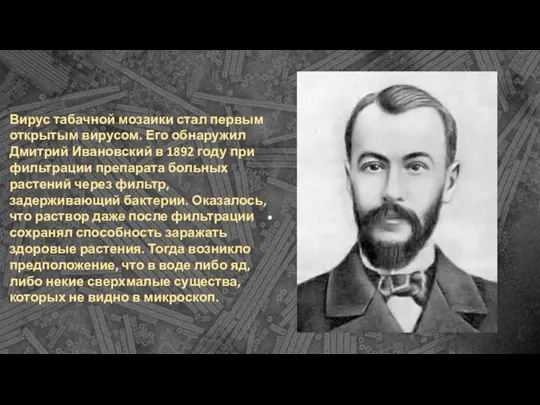 . Вирус табачной мозаики стал первым открытым вирусом. Его обнаружил Дмитрий Ивановский