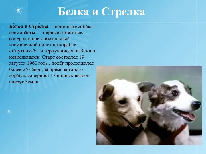 Белка и Стрелка Бе́лка и Стре́лка —советские собаки-космонавты — первые животные, совершившие