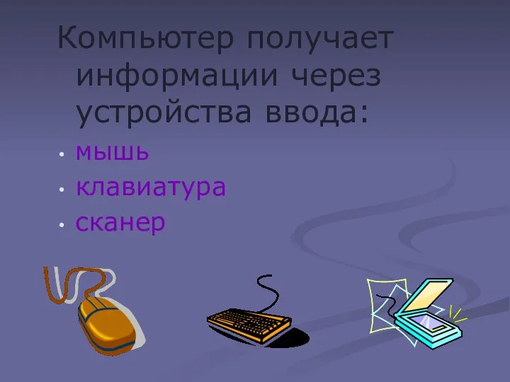 Компьютер получает информации через устройства ввода: мышь клавиатура сканер