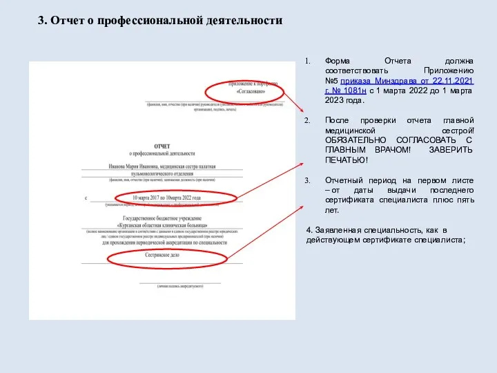 3. Отчет о профессиональной деятельности