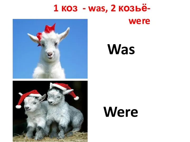 Was Were 1 коз - was, 2 козьё- were