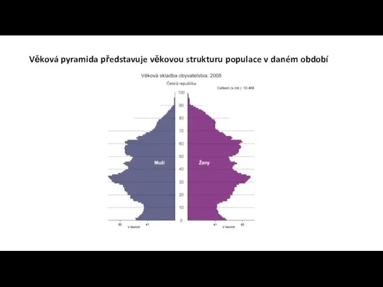 Věková pyramida představuje věkovou strukturu populace v daném období