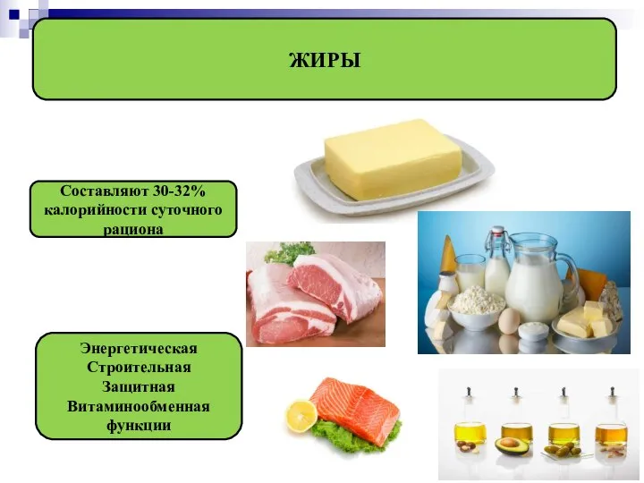 ЖИРЫ Составляют 30-32% калорийности суточного рациона Энергетическая Строительная Защитная Витаминообменная функции