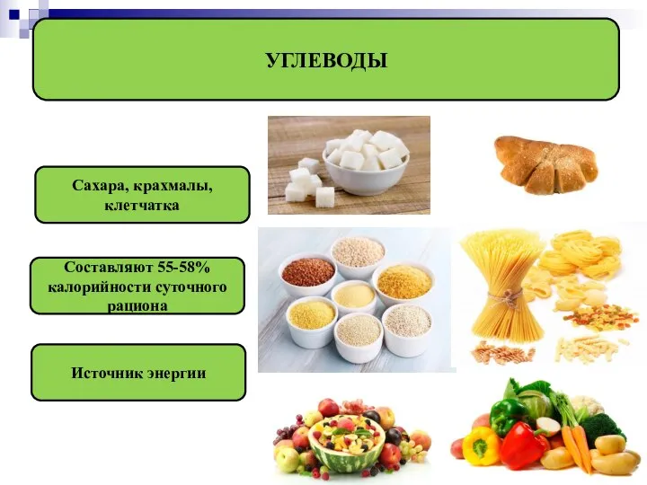 УГЛЕВОДЫ Сахара, крахмалы, клетчатка Составляют 55-58% калорийности суточного рациона Источник энергии