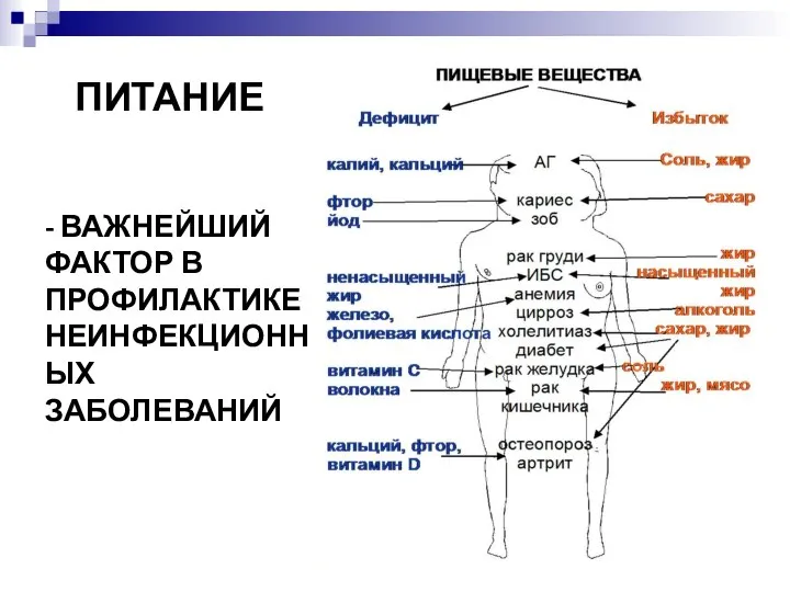 ПИТАНИЕ - ВАЖНЕЙШИЙ ФАКТОР В ПРОФИЛАКТИКЕ НЕИНФЕКЦИОННЫХ ЗАБОЛЕВАНИЙ