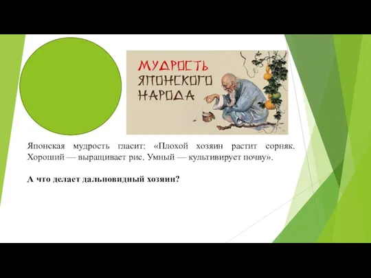 Японская мудрость гласит: «Плохой хозяин растит сорняк. Хороший — выращивает рис. Умный