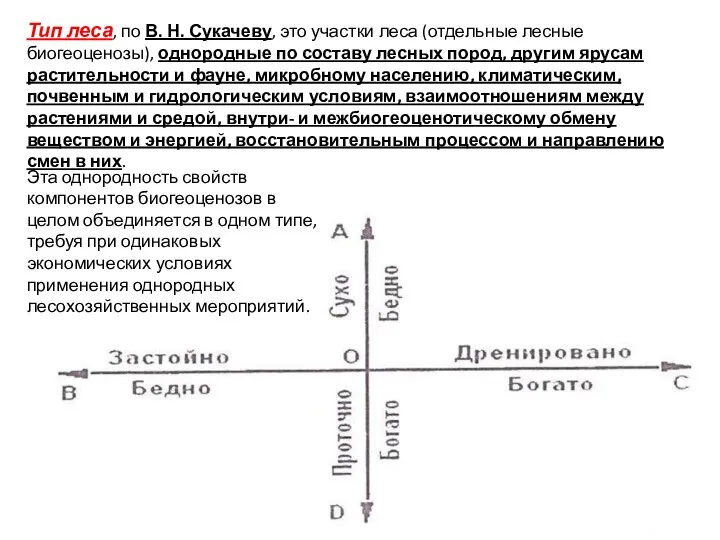 Тип леса, по В. Н. Сукачеву, это участки леса (отдельные лесные биогеоценозы),