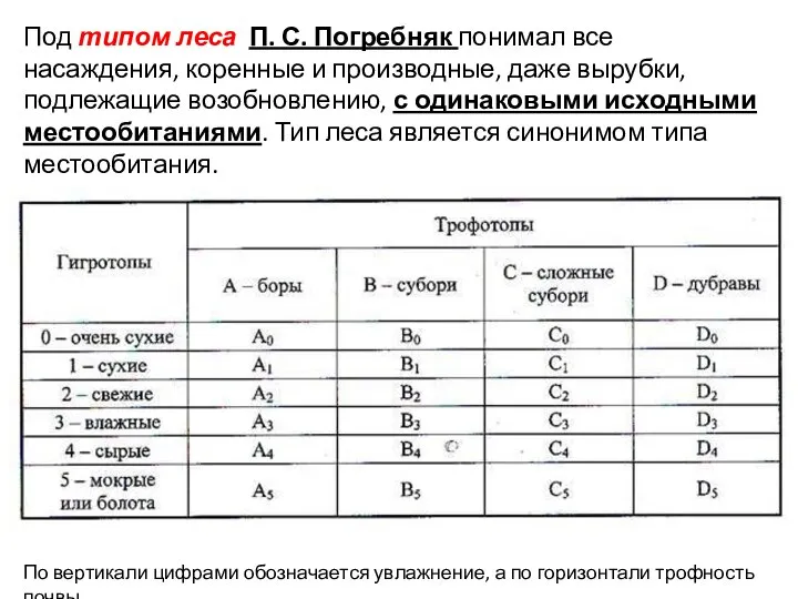 Под типом леса П. С. Погребняк понимал все насаждения, коренные и производные,