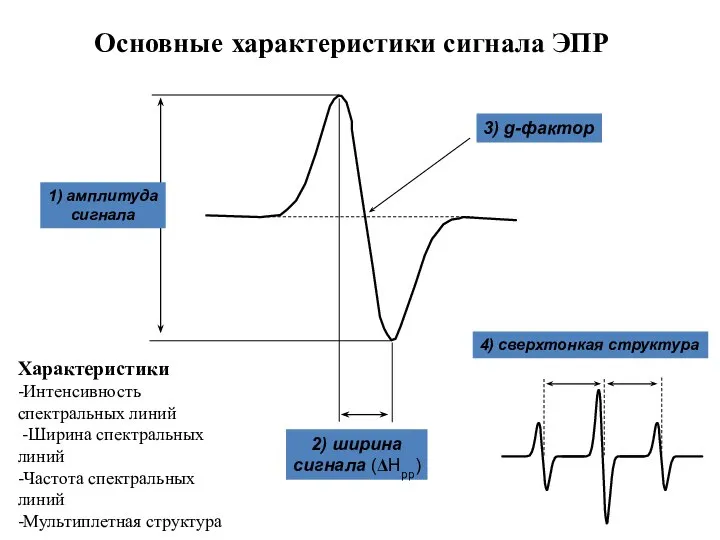 Основные характеристики сигнала ЭПР 4) сверхтонкая структура Характеристики -Интенсивность спектральных линий -Ширина