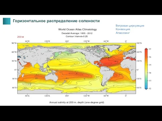 200 м Горизонтальное распределение солености Ветровая циркуляция Конвекция Апвеллинг