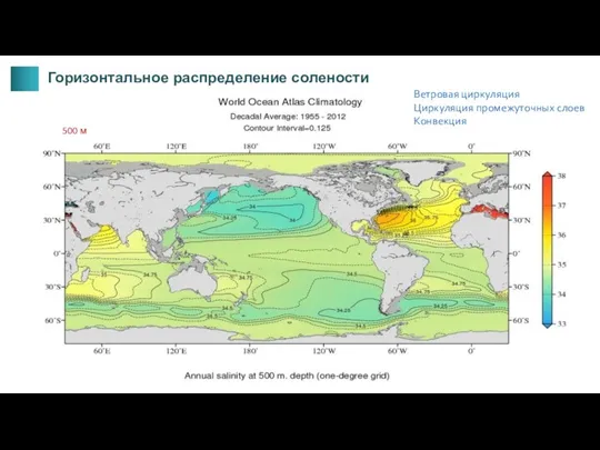 500 м Горизонтальное распределение солености Ветровая циркуляция Циркуляция промежуточных слоев Конвекция