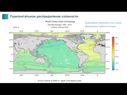 2000 м Циркуляция глубинных слоев Горизонтальное распределение солености Циркуляция промежуточных слоев