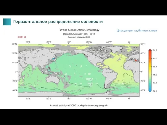 3000 м Горизонтальное распределение солености Циркуляция глубинных слоев