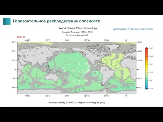 4000 м Циркуляция придонных слоев Горизонтальное распределение солености