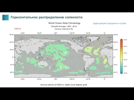 5000 м Горизонтальное распределение солености Циркуляция придонных слоев