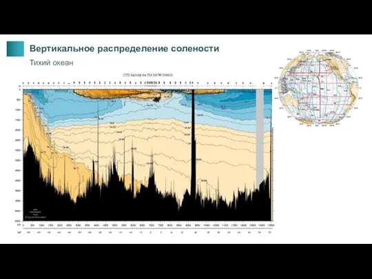 Вертикальное распределение солености Тихий океан