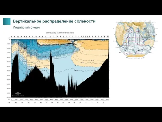 Вертикальное распределение солености Индийский океан