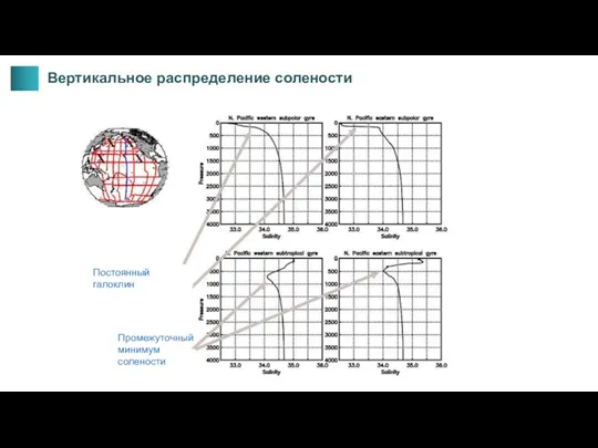 Постоянный галоклин Промежуточный минимум солености Вертикальное распределение солености