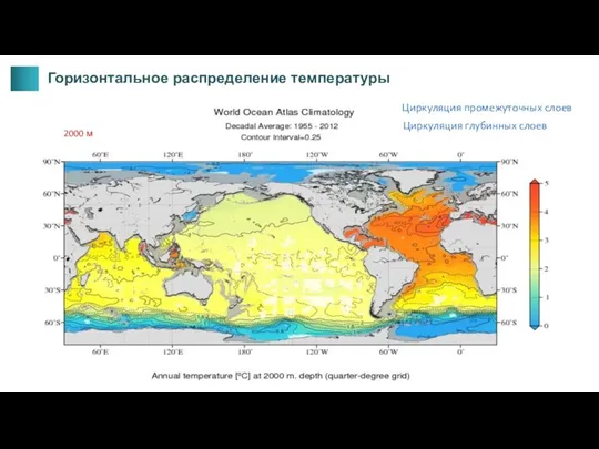 2000 м Циркуляция глубинных слоев Горизонтальное распределение температуры Циркуляция промежуточных слоев