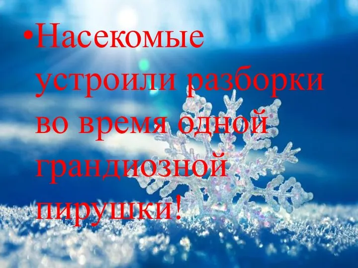 Насекомые устроили разборки во время одной грандиозной пирушки!