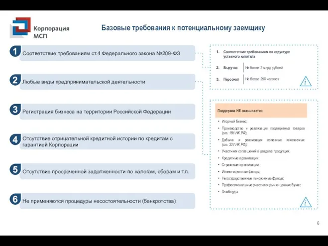 Базовые требования к потенциальному заемщику Соответствие требованиям по структуре уставного капитала Выручка