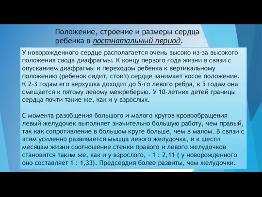 Положение, строение и размеры сердца ребенка в постнатальный период. У новорожденного сердце