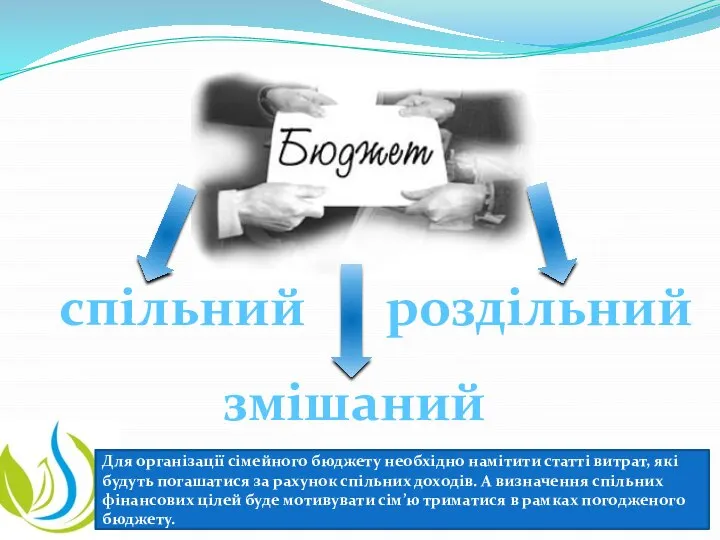 спільний роздільний змішаний Для організації сімейного бюджету необхідно намітити статті витрат, які