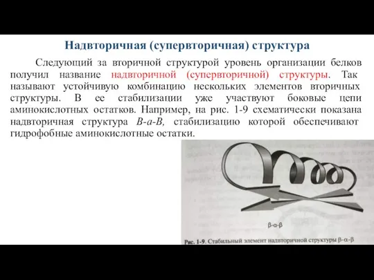 Надвторичная (супервторичная) структура Следующий за вторичной структурой уровень организации белков получил название