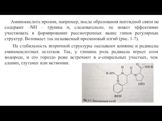 Аминокислота пролин, например, после образования пептидной связи не содержит –NH – группы