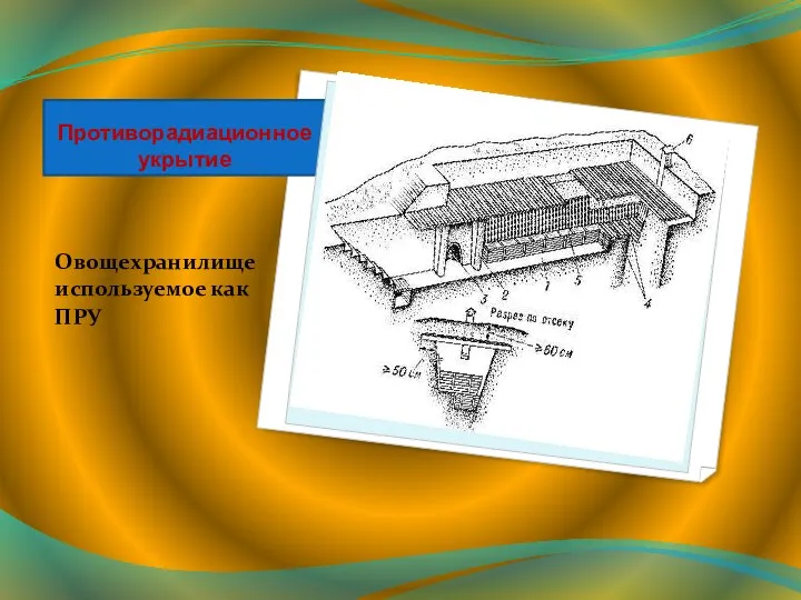 Противорадиационное укрытие Овощехранилище используемое как ПРУ