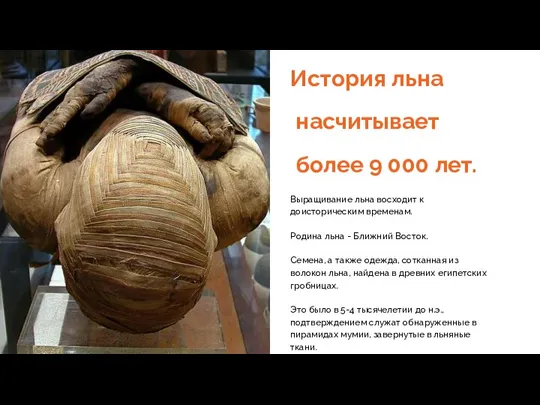 История льна насчитывает более 9 000 лет. Выращивание льна восходит к доисторическим