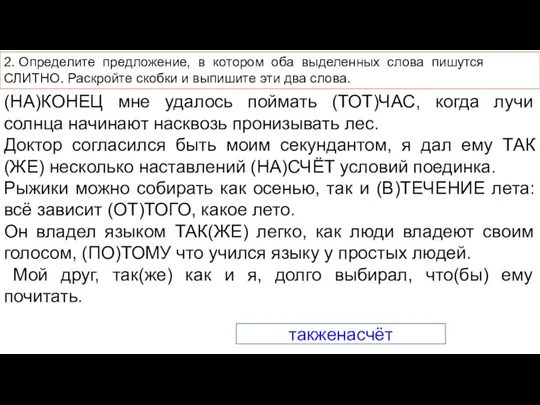 (НА)КОНЕЦ мне удалось поймать (ТОТ)ЧАС, когда лучи солнца начинают насквозь пронизывать лес.