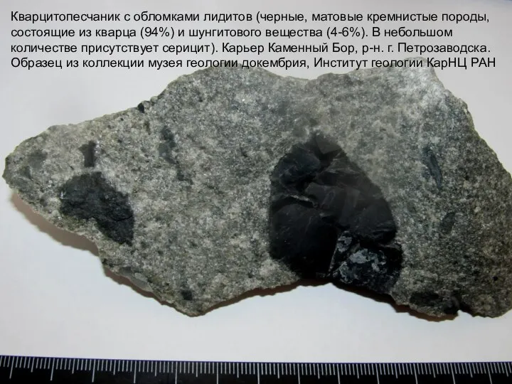 Кварцитопесчаник с обломками лидитов (черные, матовые кремнистые породы, состоящие из кварца (94%)