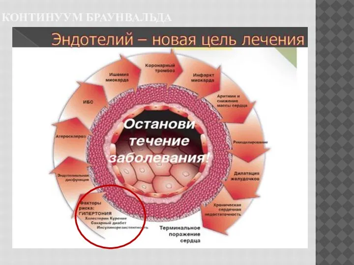 КОНТИНУУМ БРАУНВАЛЬДА