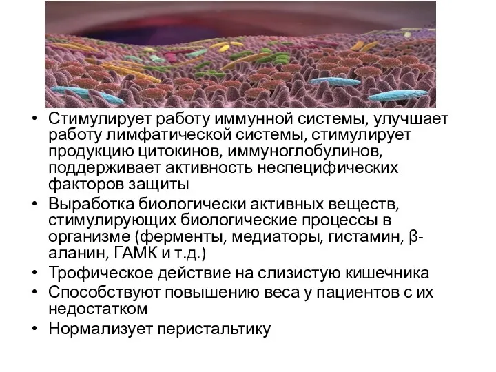 Стимулирует работу иммунной системы, улучшает работу лимфатической системы, стимулирует продукцию цитокинов, иммуноглобулинов,