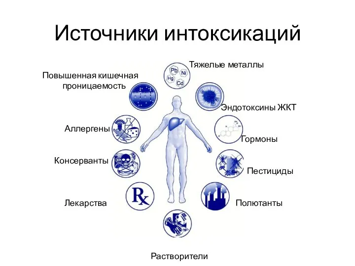 Источники интоксикаций Тяжелые металлы Повышенная кишечная проницаемость Эндотоксины ЖКТ Аллергены Гормоны Консерванты Пестициды Лекарства Полютанты Растворители