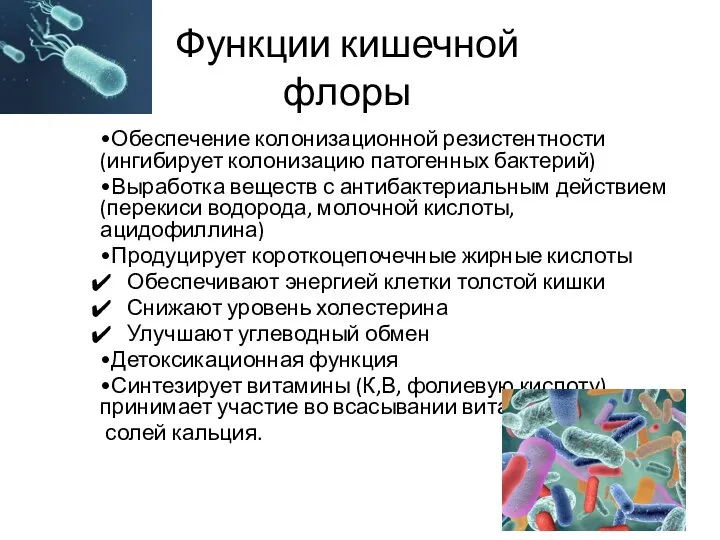 Функции кишечной флоры •Обеспечение колонизационной резистентности (ингибирует колонизацию патогенных бактерий) •Выработка веществ